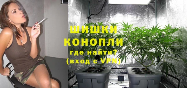 PSILOCYBIN Кукмор