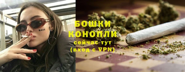 PSILOCYBIN Кукмор