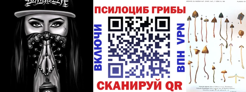 магазин  наркотиков  Курчатов  Псилоцибиновые грибы Magic Shrooms 
